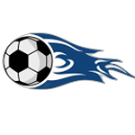VSO Academy