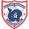 Ballenas Morelos