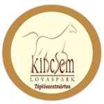 Kincsem SE U17