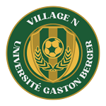 village-n