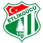 Etlikgücü