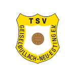TSV Geiselbullach Neu-Esting