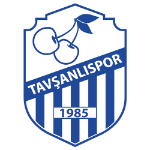 Tavşanlıspor