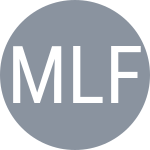 Miguel L F / Miguel L