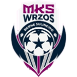 MKS Wrzos Borne Sulinowo