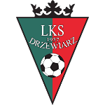 LKS Drzewiarz Świerczyna