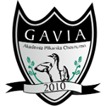 Gavia II Choszczno