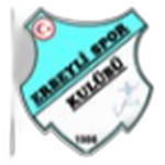 Erbeylispor