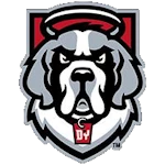 D'Youville Saints