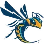 Cedarville Yellow Jackets