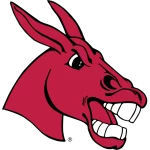 Central Missouri Mules