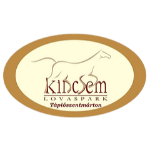 Kincsem SE U19