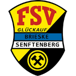 FSV Glückauf Brieske/Senftenberg U19