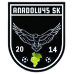 Anadolu 45 Spor