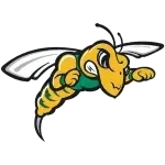 Black Hills State Yellow Jackets