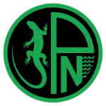 F.C. Nuovo Pordenone 2024