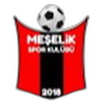 Eskişehir Meşelikspor