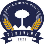 Pedavena Calcio