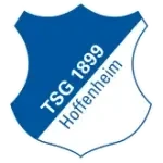 TSG Hoffenheim U17