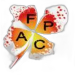 Avenir Football Pays de Coise