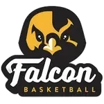 falcon-u16