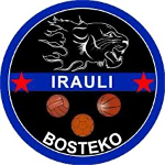 Irauli Bosteko Eskubaloia