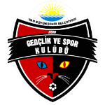 Van Büyükşehir Belediyespor