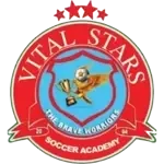 Vital Stars Academy