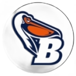 bg-logo-home