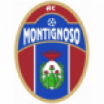 Montignoso