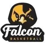 Falcon U20