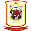 Marshfield AFC