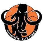 Calcit Basketball