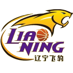 Liaoning Hengye