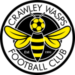 Crawley Wasps LFC