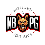 Novo Basquete Ponta Grossa