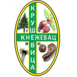 FK Kruševica 1980 Kneževac