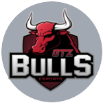 GTZ Bulls