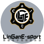 LinGan e-Sports