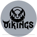Vikings Gaming