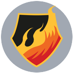 Fire Assassins