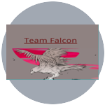 Team Falcon