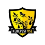 Kerepesi VSE