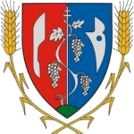 FC Sződ