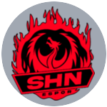 Şahangiller Espor