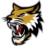Vermilion County Bobcats