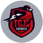 TGJ ERsports