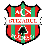ACS Stejarul Vlădești