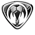 AL Hajer Youth