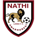 Nathi Lions
